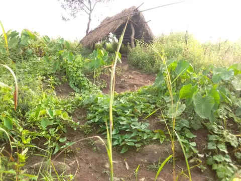 Farm hut